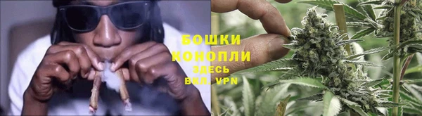 сатива Киренск