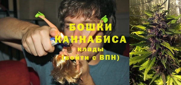 apvp Кинешма