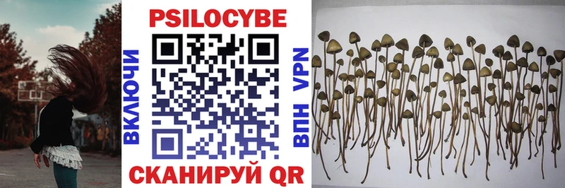 Псилоцибиновые грибы GOLDEN TEACHER  Купить  Томилино 